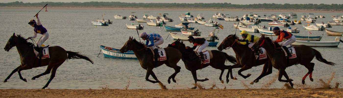 BetStars-carreras-de-caballos-2018
